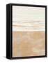 Framed Canvas