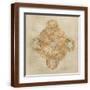 Brown Frame