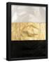 Essential Black
