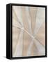 Framed Canvas