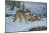 Vantage Point Wolves-Bruce Dumas-Mounted Giclee Print