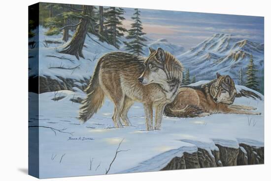 Vantage Point Wolves-Bruce Dumas-Stretched Canvas
