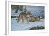 Vantage Point Wolves-Bruce Dumas-Framed Giclee Print