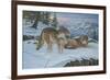 Vantage Point Wolves-Bruce Dumas-Framed Giclee Print