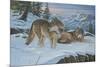 Vantage Point Wolves-Bruce Dumas-Mounted Giclee Print