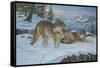 Vantage Point Wolves-Bruce Dumas-Framed Stretched Canvas