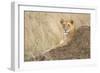 Vantage Point-Susann Parker-Framed Premium Photographic Print