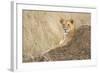 Vantage Point-Susann Parker-Framed Photographic Print