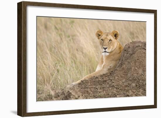 Vantage Point-Susann Parker-Framed Photographic Print