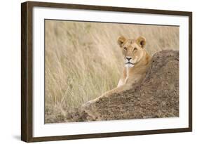 Vantage Point-Susann Parker-Framed Photographic Print