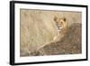 Vantage Point-Susann Parker-Framed Photographic Print