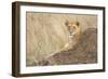 Vantage Point-Susann Parker-Framed Photographic Print