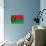 Vanuatu Flag Design with Wood Patterning - Flags of the World Series-Philippe Hugonnard-Stretched Canvas displayed on a wall