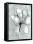 Vapor Bloom 2-Doris Charest-Framed Stretched Canvas