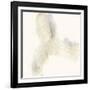 Vapor VII-June Vess-Framed Art Print