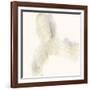 Vapor VII-June Vess-Framed Art Print