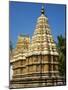 Varahaswami Temple, Maharaja's Palace, Mysore, Karnataka, India, Asia-Tuul-Mounted Photographic Print