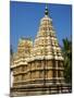 Varahaswami Temple, Maharaja's Palace, Mysore, Karnataka, India, Asia-Tuul-Mounted Photographic Print