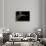 Varanus Rudicollis (Roughneck Monitor)-Paul Starosta-Framed Photographic Print displayed on a wall