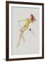 Varga Girl, July 1942-Alberto Vargas-Framed Art Print