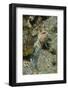 Variable Jawfish-Hal Beral-Framed Photographic Print