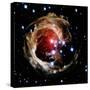 Variable Star V838 Monocerotis in Constellation Monoceros-Stocktrek-Stretched Canvas