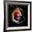 Variable Star V838 Monocerotis in Constellation Monoceros-Stocktrek-Framed Photographic Print