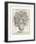 Variatio Florum - Cadunt Flores-Jacobus Kempener-Framed Giclee Print