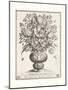 Variatio Florum - Speculum Vitae-Jacobus Kempener-Mounted Giclee Print