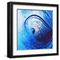 Variations on a Circle 12-Philippe Sainte-Laudy-Framed Premium Photographic Print