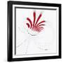 Variations On A Circle 18-Philippe Sainte-Laudy-Framed Photographic Print