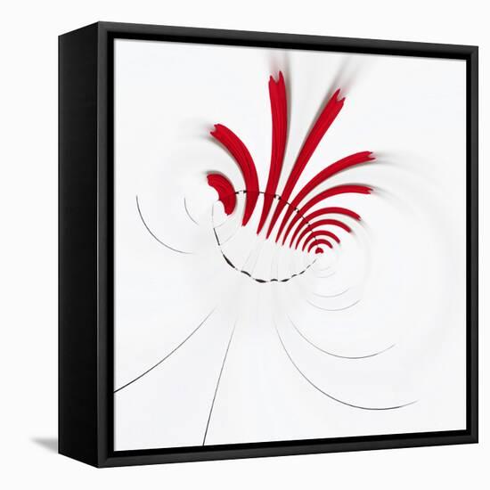 Variations On A Circle 18-Philippe Sainte-Laudy-Framed Stretched Canvas