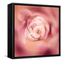 Variations On A Circle 19-Philippe Sainte-Laudy-Framed Stretched Canvas