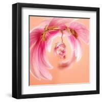 Variations on a Circle 22-Philippe Sainte-Laudy-Framed Premium Photographic Print