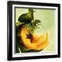 Variations on a Circle 25-Philippe Sainte-Laudy-Framed Photographic Print