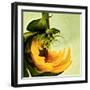 Variations on a Circle 25-Philippe Sainte-Laudy-Framed Photographic Print