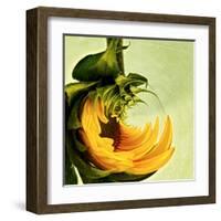 Variations on a Circle 25-Philippe Sainte-Laudy-Framed Premium Photographic Print