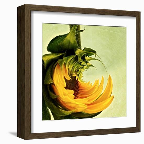 Variations on a Circle 25-Philippe Sainte-Laudy-Framed Premium Photographic Print