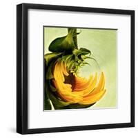Variations on a Circle 25-Philippe Sainte-Laudy-Framed Premium Photographic Print