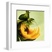 Variations on a Circle 25-Philippe Sainte-Laudy-Framed Premium Photographic Print