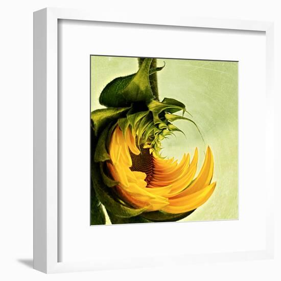 Variations on a Circle 25-Philippe Sainte-Laudy-Framed Premium Photographic Print