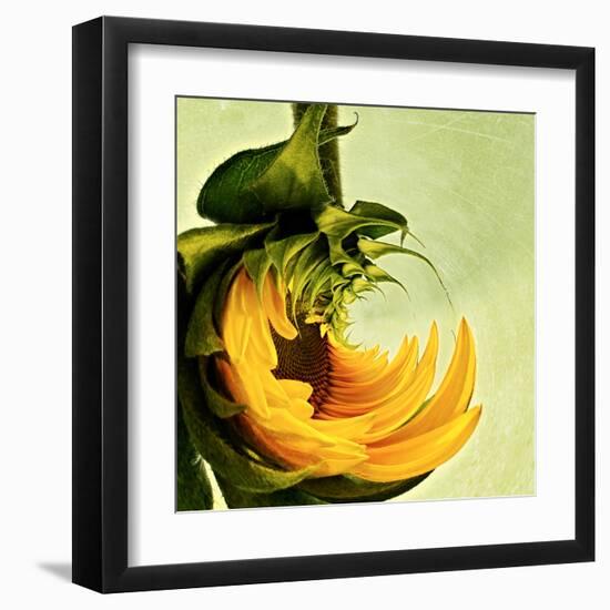 Variations on a Circle 25-Philippe Sainte-Laudy-Framed Premium Photographic Print