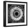 Variations on a Circle 30-Philippe Sainte-Laudy-Framed Premium Photographic Print