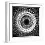 Variations on a Circle 30-Philippe Sainte-Laudy-Framed Premium Photographic Print