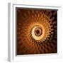 Variations on a Circle 31-Philippe Sainte-Laudy-Framed Photographic Print