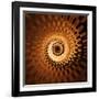Variations on a Circle 31-Philippe Sainte-Laudy-Framed Photographic Print