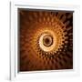 Variations on a Circle 31-Philippe Sainte-Laudy-Framed Photographic Print