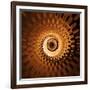 Variations on a Circle 31-Philippe Sainte-Laudy-Framed Photographic Print