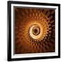 Variations on a Circle 31-Philippe Sainte-Laudy-Framed Photographic Print