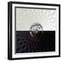 Variations on a Circle 34-Philippe Sainte-Laudy-Framed Photographic Print